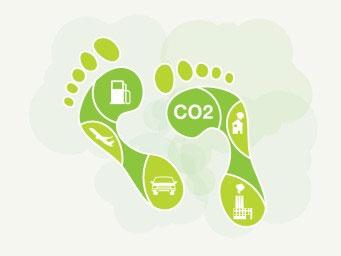 ¿Qué puedes hacer para compensar el impacto tu huella de carbono?